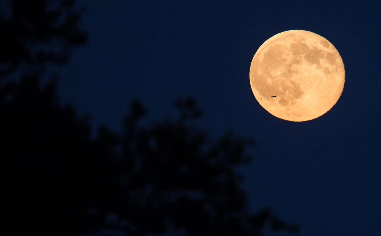 Meditations on the Moon